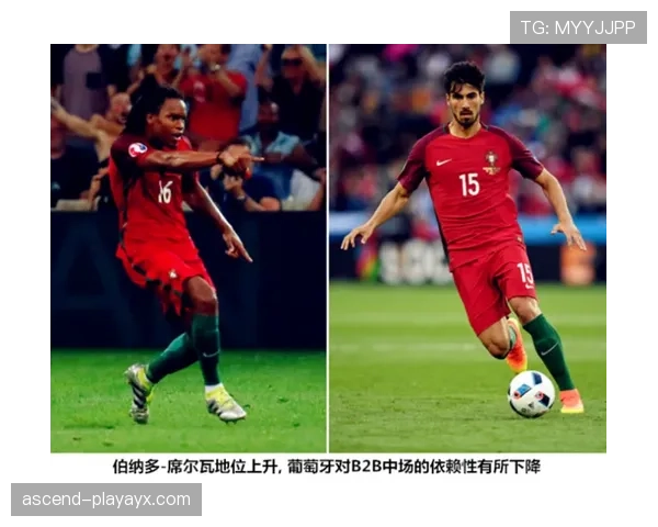 琼阿梅尼是否依赖体系？战术角色与适配性分析
